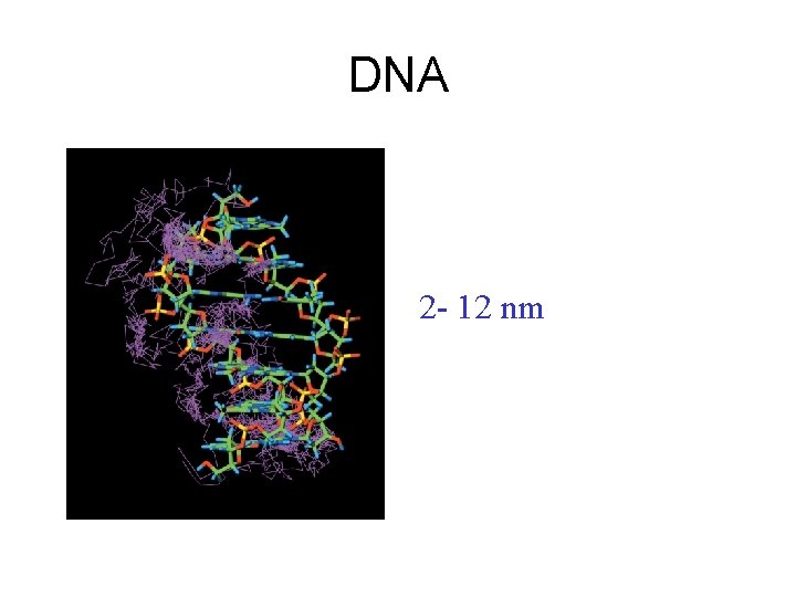 DNA 2 - 12 nm 