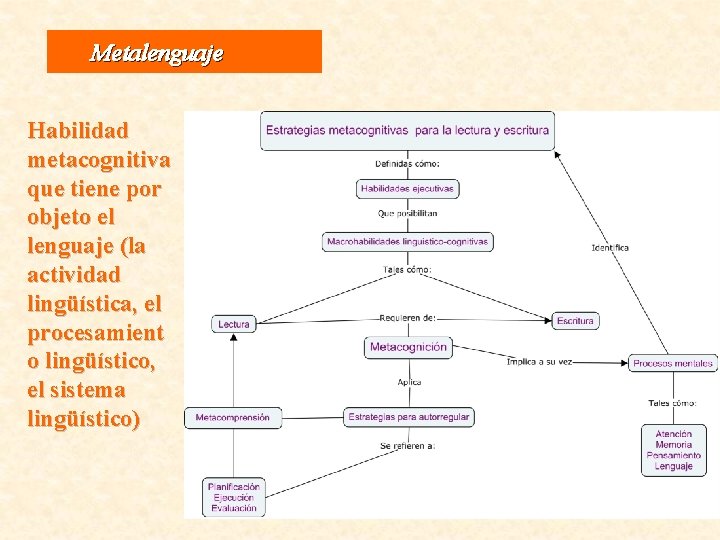 Metalenguaje Habilidad metacognitiva que tiene por objeto el lenguaje (la actividad lingüística, el procesamient