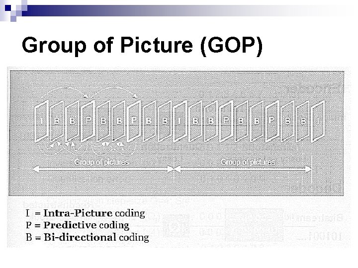Group of Picture (GOP) Group of Picture (GOP)