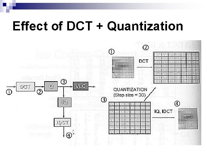 Effect of DCT + Quantization Effect of DCT + Quantization