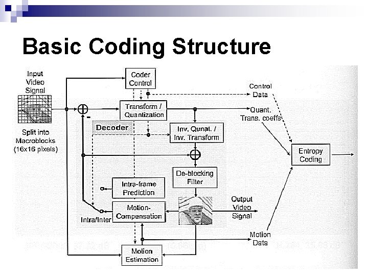 Basic Coding Structure Basic Coding Structure