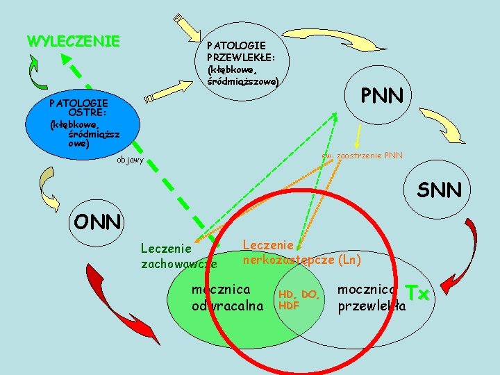 WYLECZENIE PATOLOGIE PRZEWLEKŁE: (kłębkowe, śródmiąższowe) PATOLOGIE OSTRE: (kłębkowe, śródmiąższ owe) PNN ew. zaostrzenie PNN