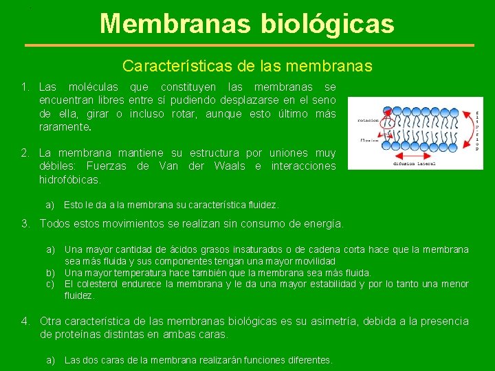 . Membranas biológicas Características de las membranas 1. Las moléculas que constituyen las membranas