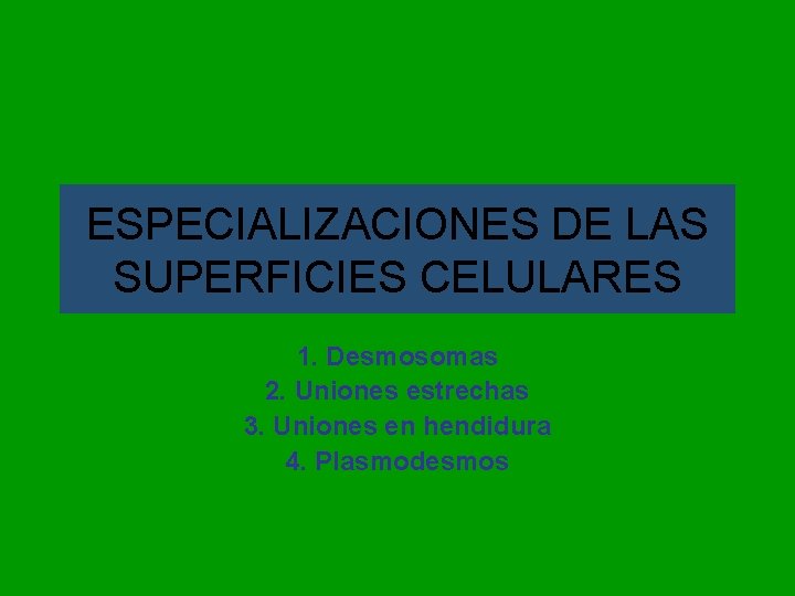 ESPECIALIZACIONES DE LAS SUPERFICIES CELULARES 1. Desmosomas 2. Uniones estrechas 3. Uniones en hendidura