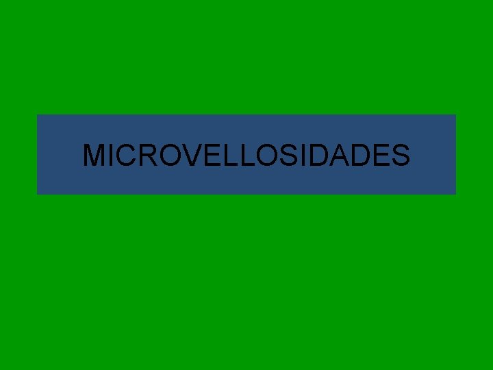 MICROVELLOSIDADES 