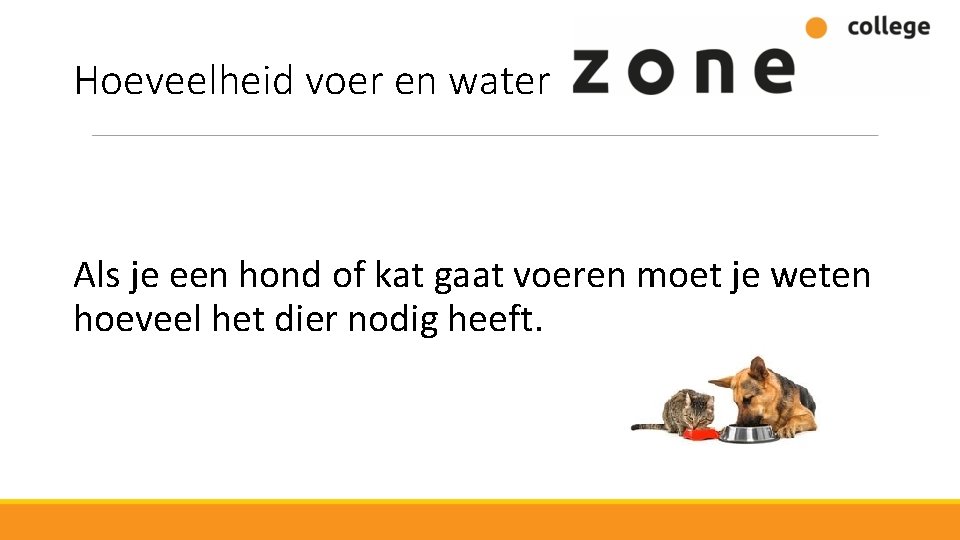 Hoeveelheid voer en water Als je een hond of kat gaat voeren moet je