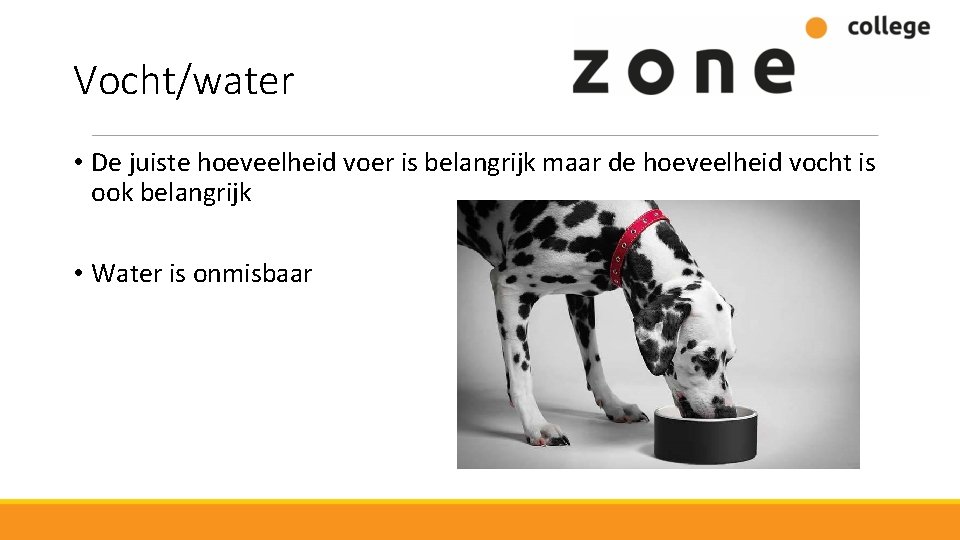 Vocht/water • De juiste hoeveelheid voer is belangrijk maar de hoeveelheid vocht is ook