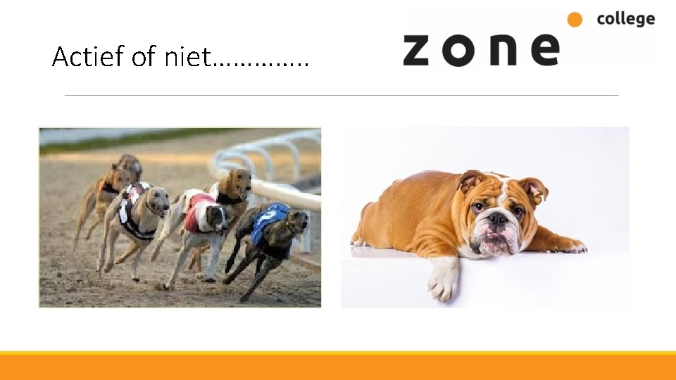 Actief of niet…………. . 