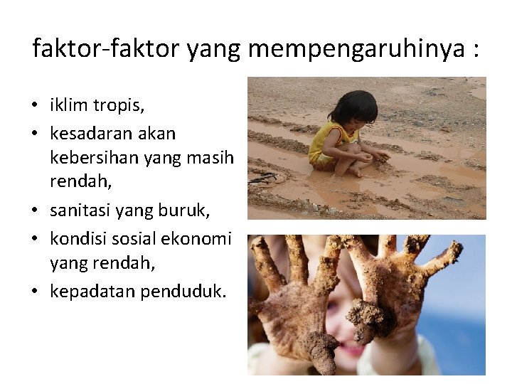 faktor-faktor yang mempengaruhinya : • iklim tropis, • kesadaran akan kebersihan yang masih rendah, faktor-faktor yang mempengaruhinya : • iklim tropis, • kesadaran akan kebersihan yang masih rendah,