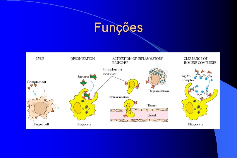 Funções 