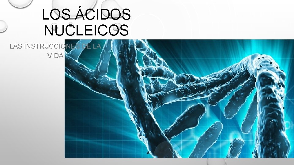 LOS ÁCIDOS NUCLEICOS LAS INSTRUCCIONES DE LA VIDA LOS ÁCIDOS NUCLEICOS LAS INSTRUCCIONES DE LA VIDA