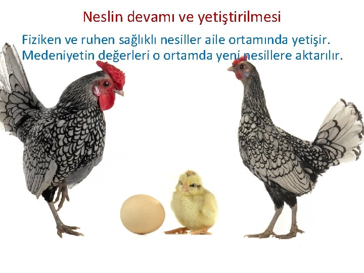 Neslin devamı ve yetiştirilmesi Fiziken ve ruhen sağlıklı nesiller aile ortamında yetişir. Medeniyetin değerleri