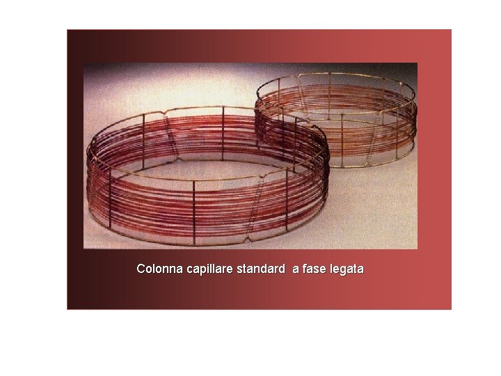 Colonna capillare standard a fase legata 35 