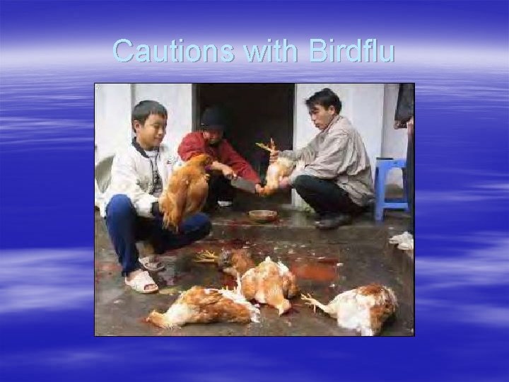 Cautions with Birdflu 