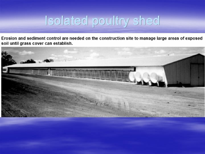 Isolated poultry shed 