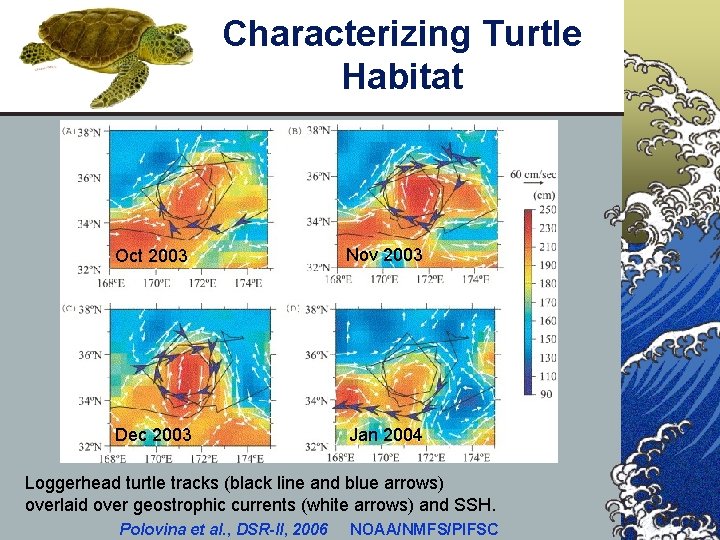 Characterizing Turtle Habitat Oct 2003 Nov 2003 Dec 2003 Jan 2004 Loggerhead turtle tracks