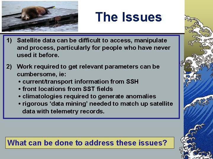 The Issues 1) Satellite data can be difficult to access, manipulate and process, particularly