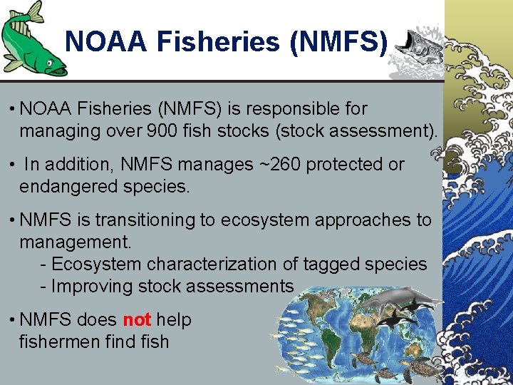 NOAA Fisheries (NMFS) • NOAA Fisheries (NMFS) is responsible for managing over 900 fish