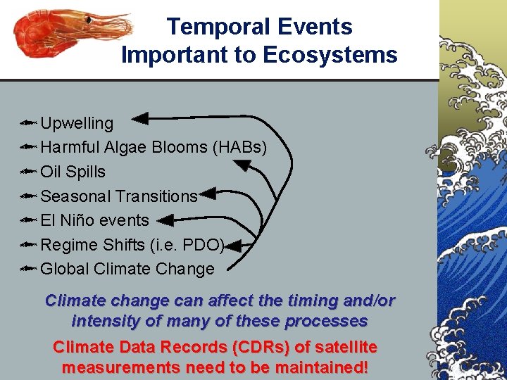 Temporal Events Important to Ecosystems Upwelling Harmful Algae Blooms (HABs) Oil Spills Seasonal Transitions