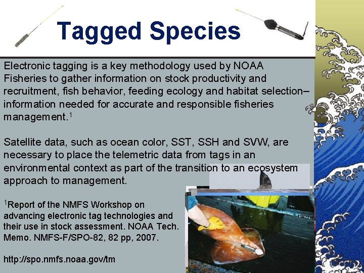 Tagged Species Electronic tagging is a key methodology used by NOAA Fisheries to gather