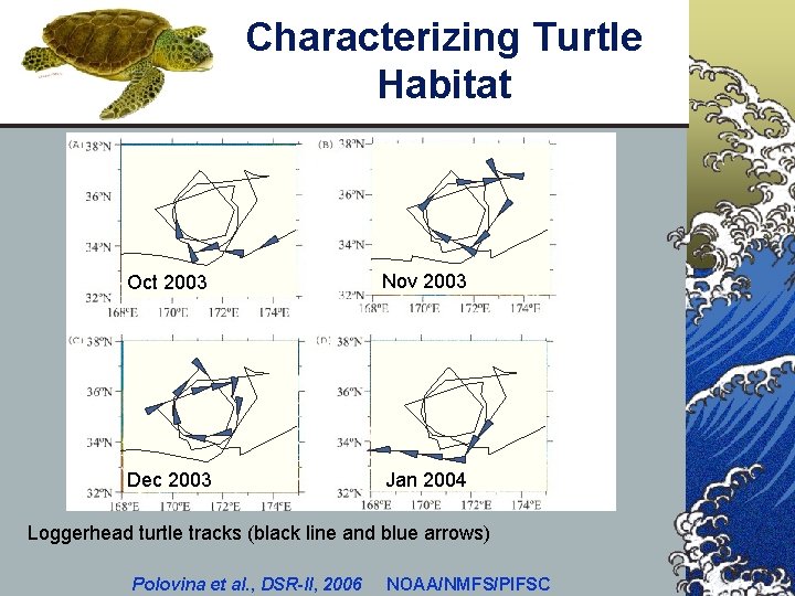 Characterizing Turtle Habitat Oct 2003 Nov 2003 Dec 2003 Jan 2004 Loggerhead turtle tracks