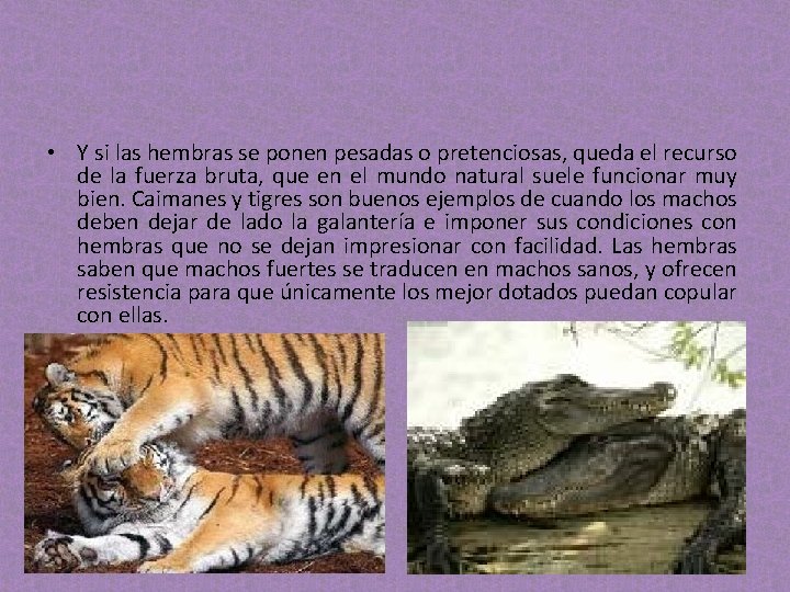 • Y si las hembras se ponen pesadas o pretenciosas, queda el recurso • Y si las hembras se ponen pesadas o pretenciosas, queda el recurso