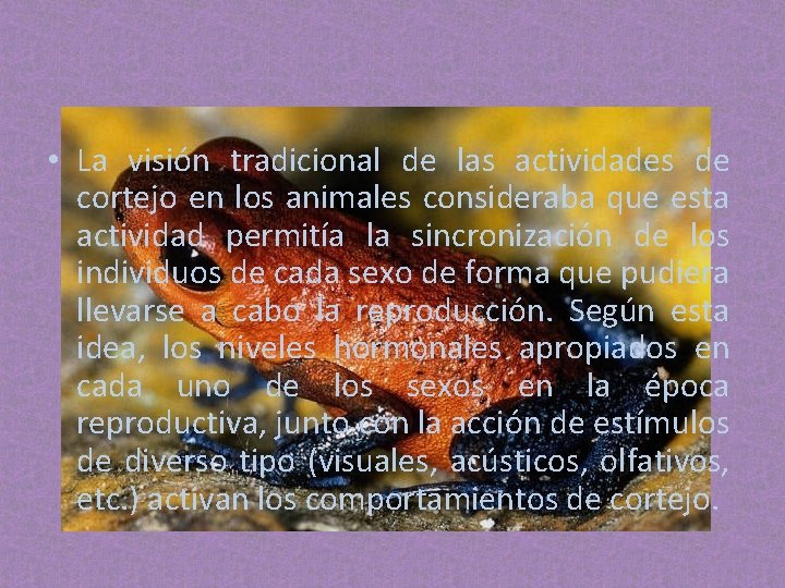 • La visión tradicional de las actividades de cortejo en los animales consideraba • La visión tradicional de las actividades de cortejo en los animales consideraba