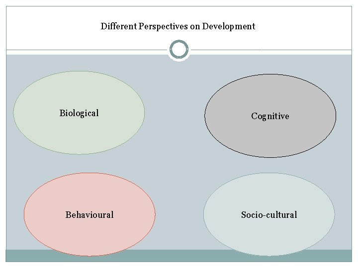 Different Perspectives on Development Biological Behavioural Cognitive Socio-cultural 