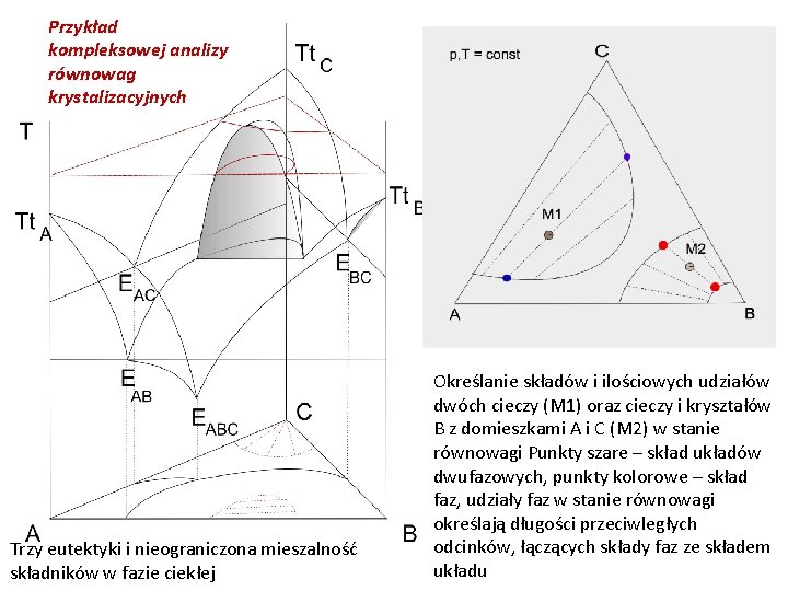 Przykład kompleksowej analizy równowag krystalizacyjnych Trzy eutektyki i nieograniczona mieszalność składników w fazie ciekłej