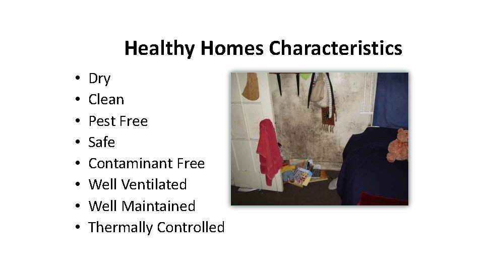 Healthy Homes Characteristics • • Dry Clean Pest Free Safe Contaminant Free Well Ventilated