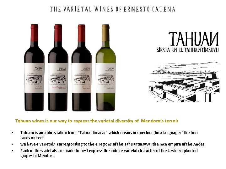 Tahuan wines is our way to express the varietal diversity of Mendoza’s terroir •