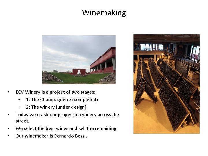 Winemaking • • ECV Winery is a project of two stages: • 1: The