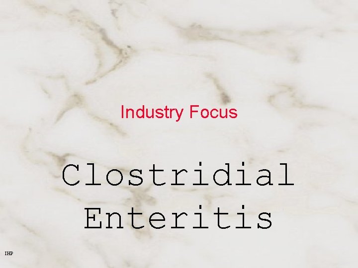 Industry Focus Clostridial Enteritis IHP 