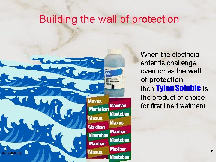 Building the wall of protection When the clostridial enteritis challenge overcomes the wall of