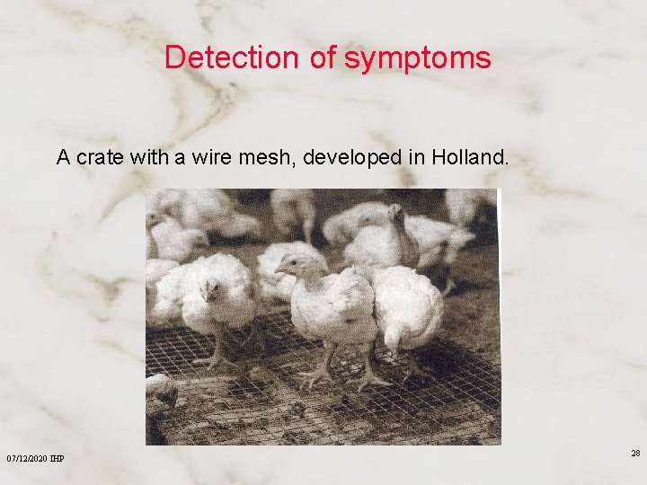 Detection of symptoms A crate with a wire mesh, developed in Holland. 07/12/2020 IHP