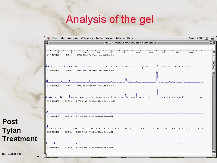 Analysis of the gel Post Tylan Treatment 07/12/2020 IHP 39 