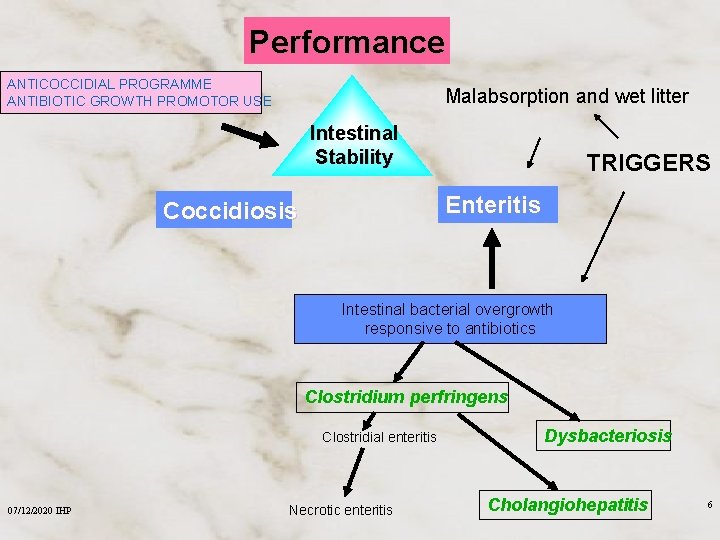 Performance ANTICOCCIDIAL PROGRAMME ANTIBIOTIC GROWTH PROMOTOR USE Malabsorption and wet litter Intestinal Stability TRIGGERS