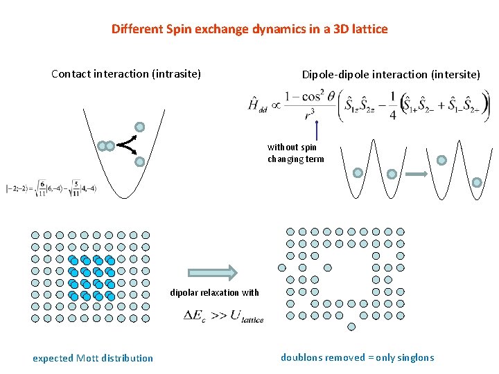 Different Spin exchange dynamics in a 3 D lattice Contact interaction (intrasite) Dipole-dipole interaction