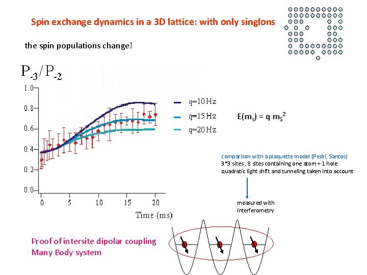 Spin exchange dynamics in a 3 D lattice: with only singlons the spin populations