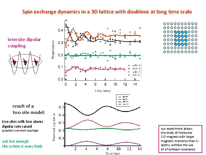 Spin exchange dynamics in a 3 D lattice with doublons at long time scale