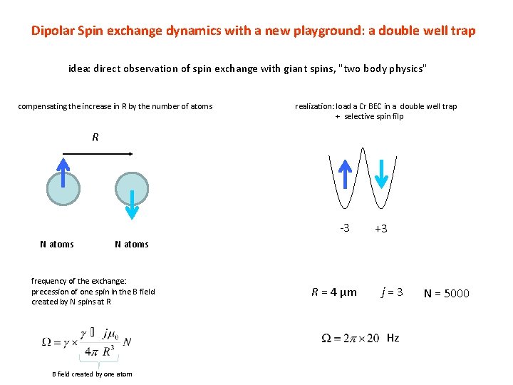 Dipolar Spin exchange dynamics with a new playground: a double well trap idea: direct