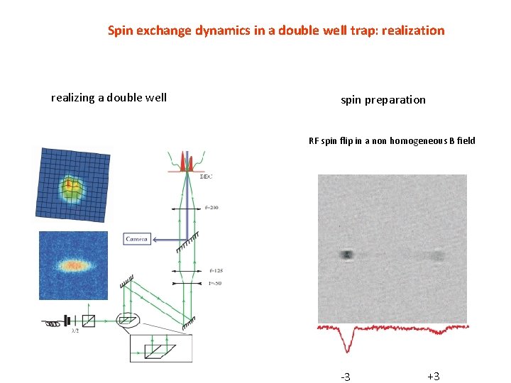 Spin exchange dynamics in a double well trap: realization realizing a double well spin