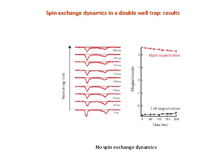 Spin exchange dynamics in a double well trap: results No spin exchange dynamics 