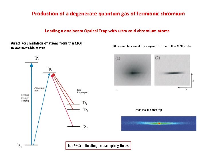 Production of a degenerate quantum gas of fermionic chromium Loading a one beam Optical