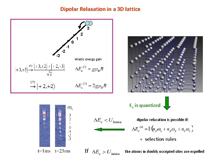 Dipolar Relaxation in a 3 D lattice 3 0 -3 -2 1 2 -1