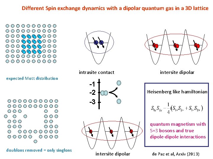 Different Spin exchange dynamics with a dipolar quantum gas in a 3 D lattice