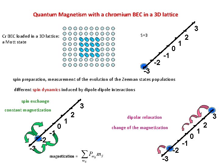 Quantum Magnetism with a chromium BEC in a 3 D lattice 3 S=3 Cr