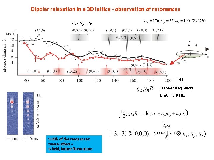 Dipolar relaxation in a 3 D lattice - observation of resonances nx , n