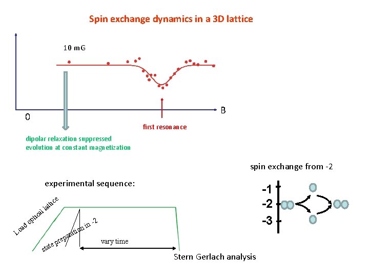 Spin exchange dynamics in a 3 D lattice 10 m. G B 0 first