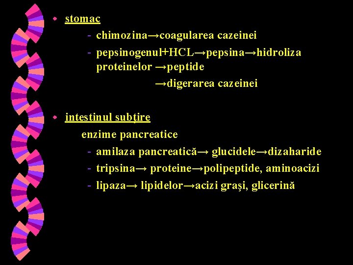 Stratul stratificat lipidic: caracteristici, structură, funcții